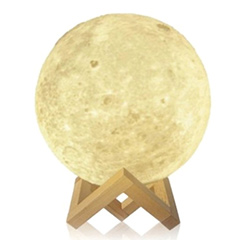 3D Printed Romantic Moon Lunar Decor Gift