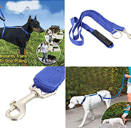 Rope Leash for Pet Walking Training 30lbs 6ft