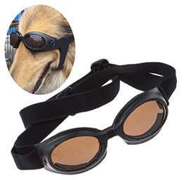 Pet Eye-wear Sunglasses 