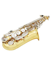 LADE Alto Saxophone Set