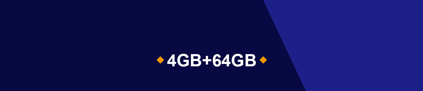4GB + 64GB