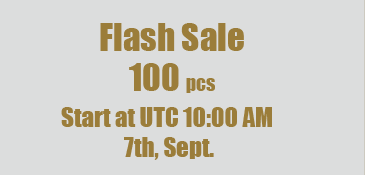 Flash Sale 100 pcs